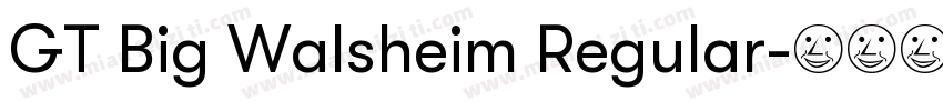GT Big Walsheim Regular字体转换